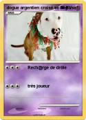 dogue argentien