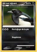 pie noir b@vard