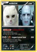 voldechat