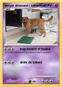 berger allemand