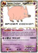 Spider Cochon