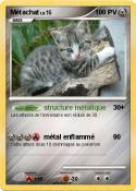 Métachat