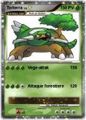 Torterra