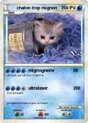 chaton trop