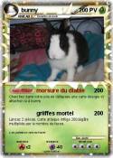 bunny