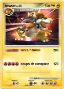 bowser