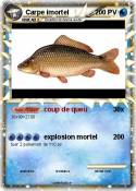 Carpe imortel