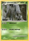 berger allemand mix berger allemand