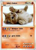 bébé chaton