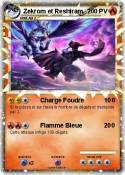 Zekrom et