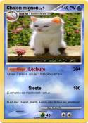 Chaton mignon