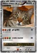miaou miaou cat