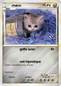 chaton