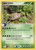 super tortue 1 