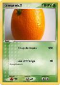 orange niv.X