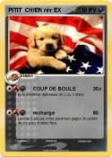 PITIT CHIEN