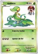 vipélierre