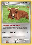 vache