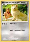 berger blanc suisse mix berger blanc
