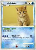 bébé chaton