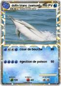 dofin blanc
