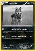 Loup gris Loup gris