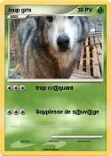 loup gris loup gris