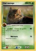 Chat sauvage