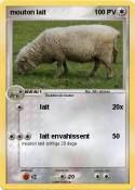 mouton lait