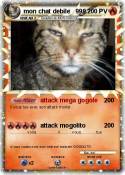 mon chat debile