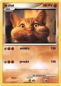 le chat