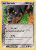 Mon Rottweiler