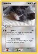 mon chat