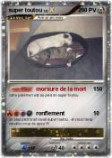 super toutou