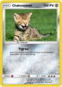 Chatonminet Chatonminet