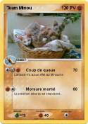 Team Minou