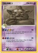 CALAME X