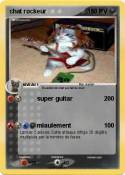 chat rockeur