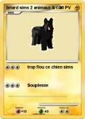 briard sims 2