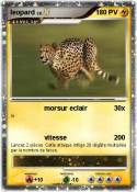 leopard