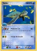 Tortix