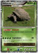 tortueuse tortueuse