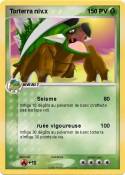 Torterra niv.x 