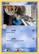 the cat
