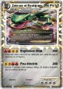 Zekrom et
