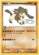 tierre