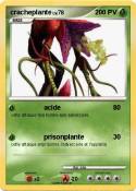 cracheplante