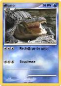 alligator
