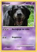 masador