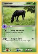 cheval noir